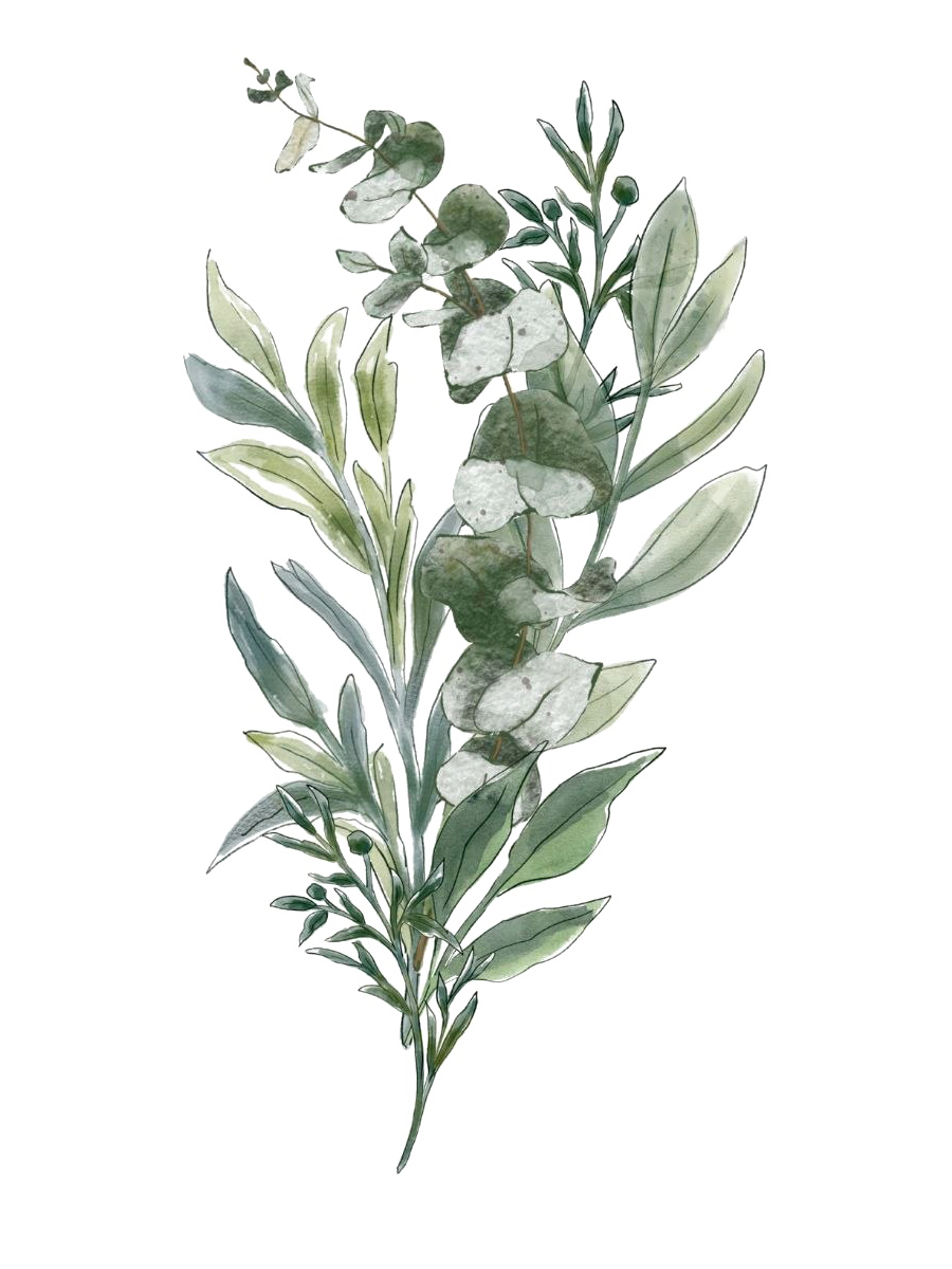 Ramo de eucalipto decorativo